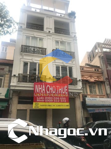 Cho thuê nhà 229 Nguyễn Công Trứ, Phường Cầu Ông Lãnh,  Quận 1, Hồ Chí Minh