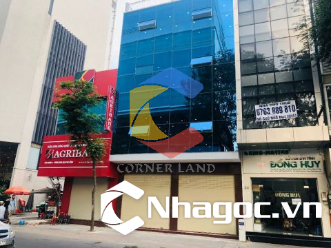 Cho thuê nhà 36-38 Tôn Thất Tùng, Phường Bến Thành,  Quận 1, Hồ Chí Minh