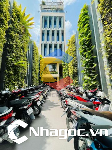 Cho thuê tòa nhà 1222 Quang Trung, Phường 8, Quận Gò Vấp, Hồ Chí Minh