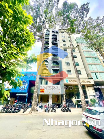 Cho thuê tòa nhà 19A-19B Bùi Thị Xuân, Phường Phạm Ngũ Lão,  Quận 1, Hồ Chí Minh