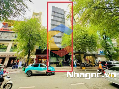 Cho thuê tòa nhà 102-104 Lý Tự Trọng, Phường Bến Thành,  Quận 1, Hồ Chí Minh