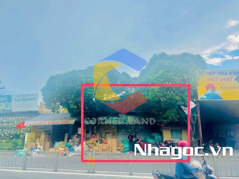 Cho thuê nhà 251 Hòa Bình, Phường Hiệp Tân, Quận Tân Phú, Hồ Chí Minh