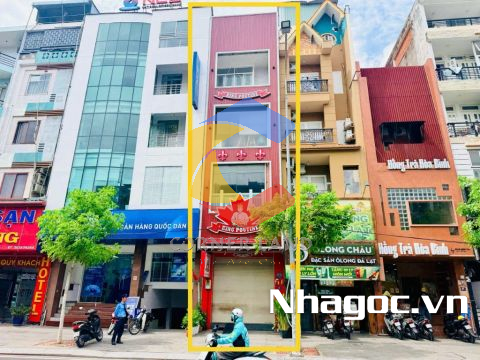 Cho thuê nhà 61 Phan Xích Long, Phường 2, Quận Phú Nhuận, Hồ Chí Minh