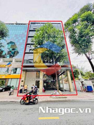 Cho thuê tòa nhà 19B Phạm Ngọc Thạch, Phường 6,  Quận 3, Hồ Chí Minh